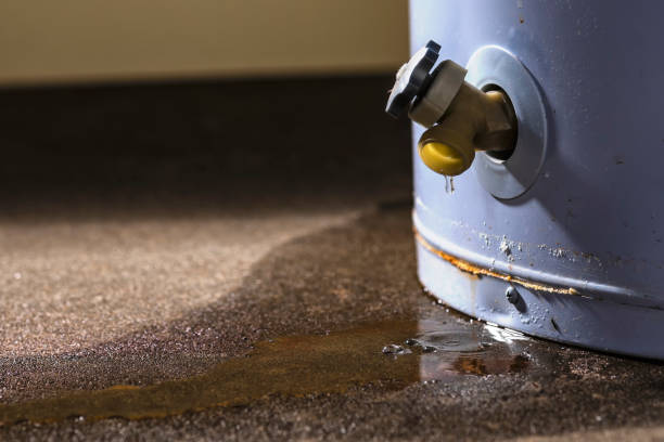 Water damage restoration insurance claims in Olympia Heights, FL