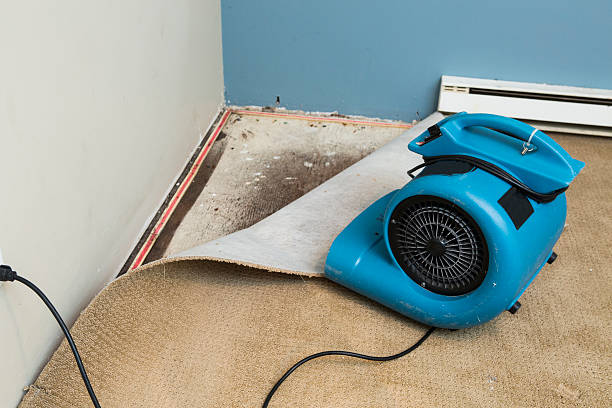 Best 24/7 water damage repair  in Olympia Heights, FL