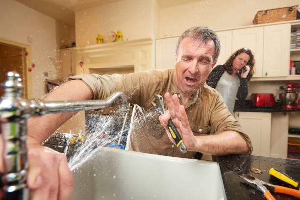 Best Water damage restoration near me  in Olympia Heights, FL